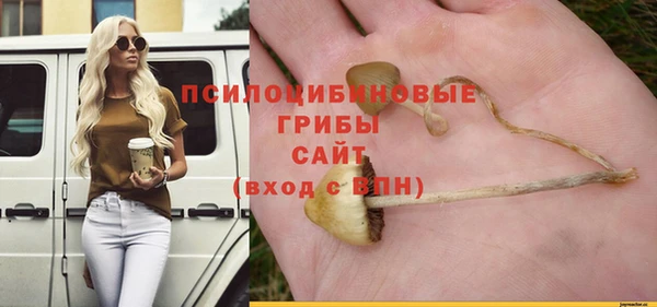 мдпв Заводоуковск